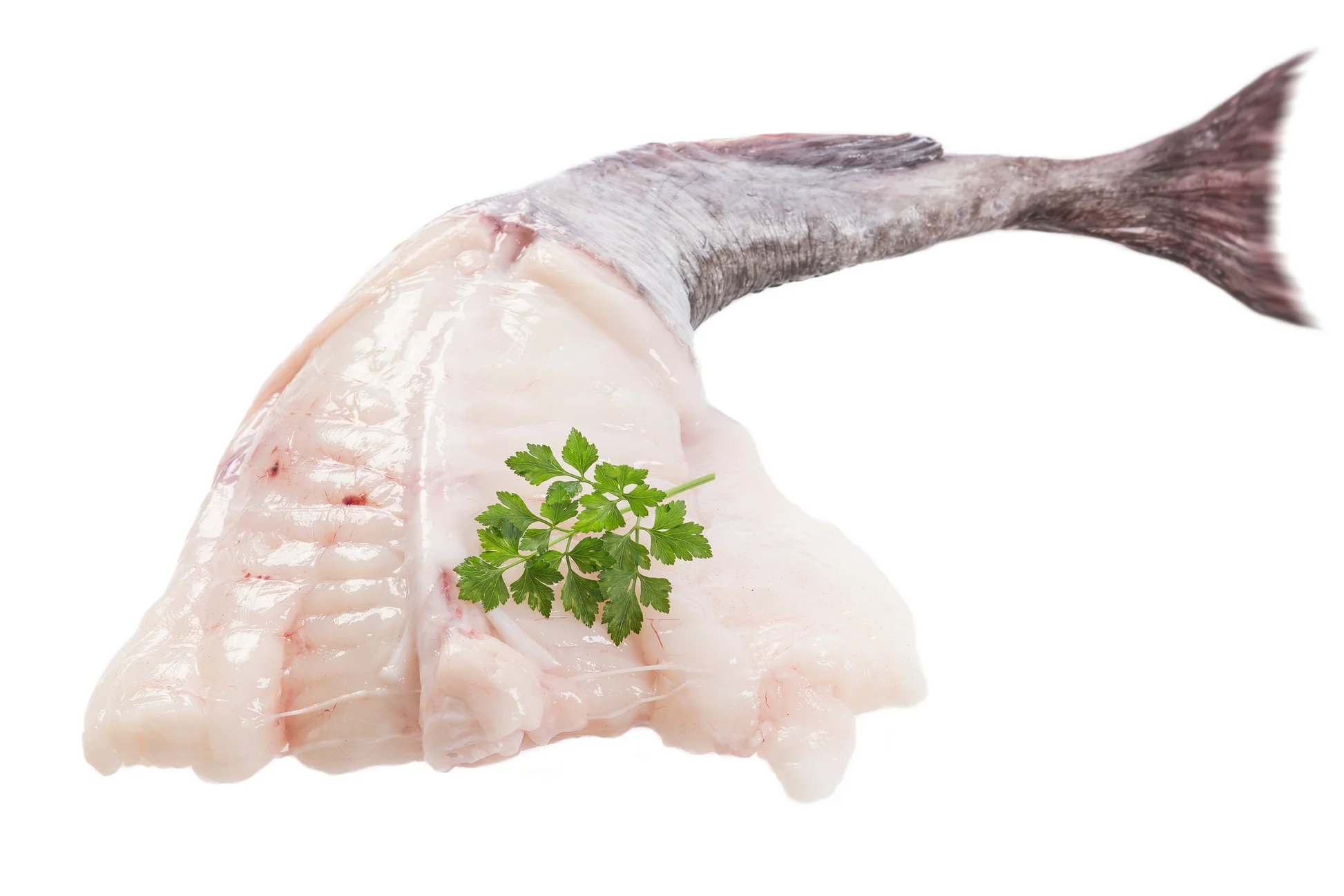 Monkfish Fillet - 601001-002